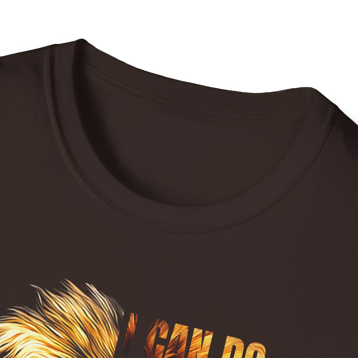 Faith-Inspired Lion T-Shirt, Christian Apparel, Inspirational Quote Shirt, Gifts for Believers, Motivational Tee