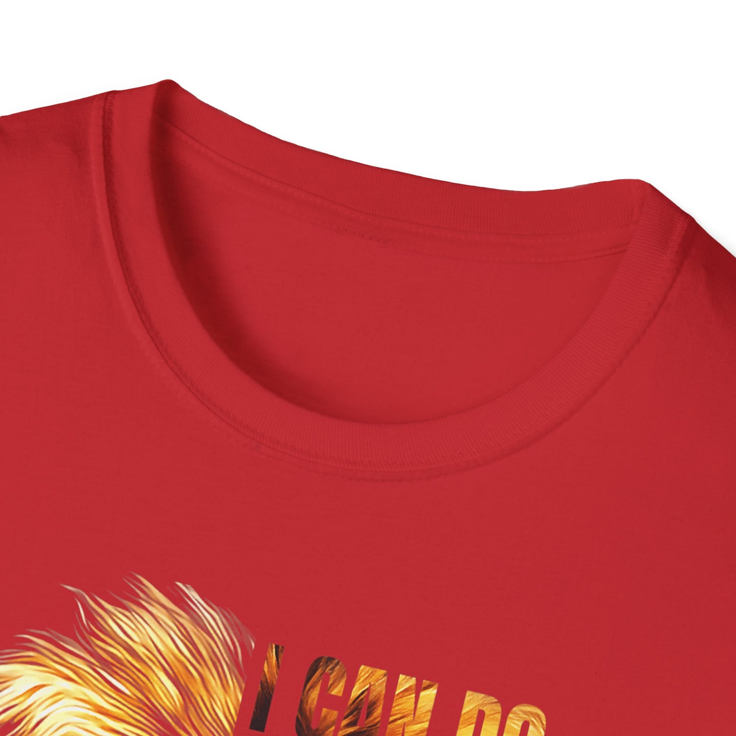 Faith-Inspired Lion T-Shirt, Christian Apparel, Inspirational Quote Shirt, Gifts for Believers, Motivational Tee