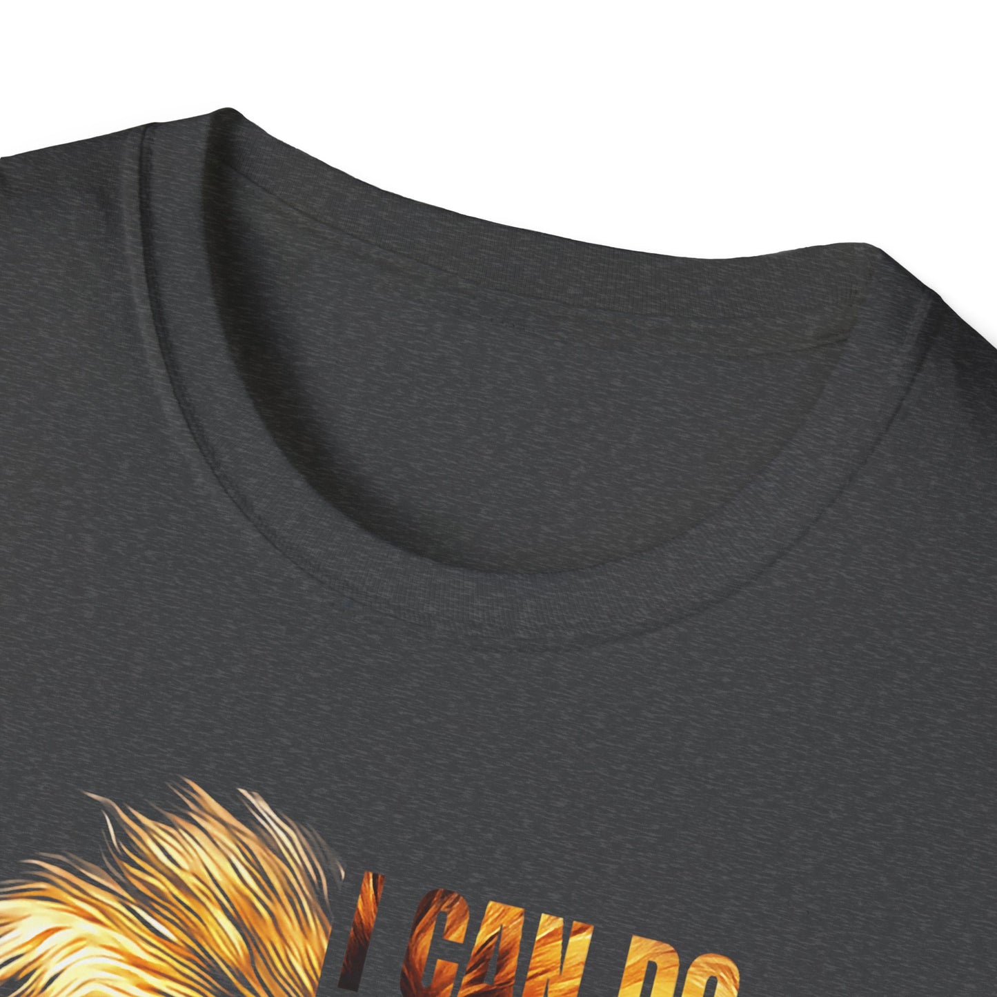 Faith-Inspired Lion T-Shirt, Christian Apparel, Inspirational Quote Shirt, Gifts for Believers, Motivational Tee