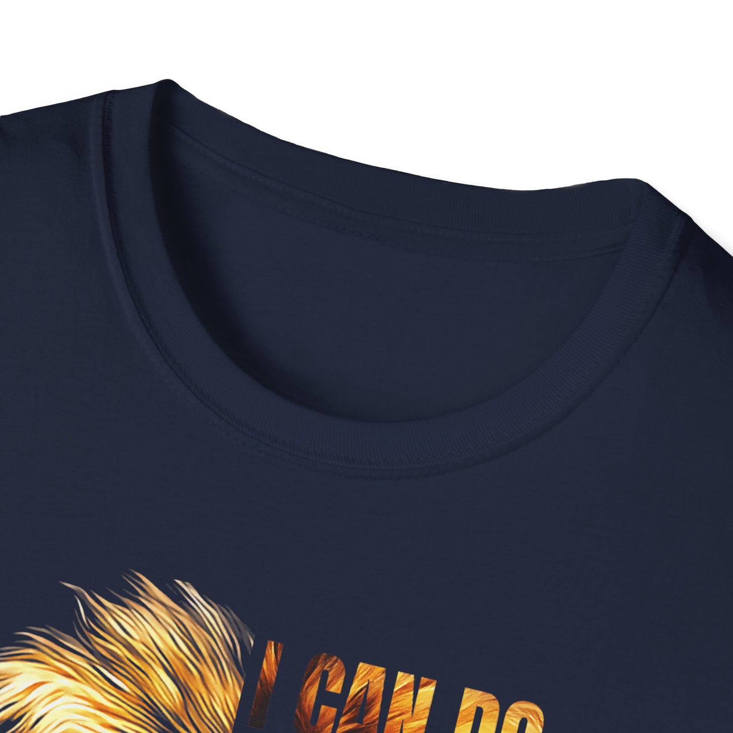 Faith-Inspired Lion T-Shirt, Christian Apparel, Inspirational Quote Shirt, Gifts for Believers, Motivational Tee