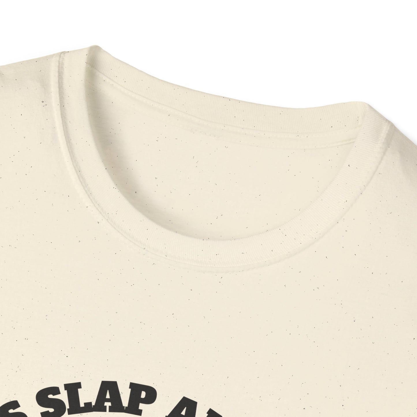 Funny Raccoon T-Shirt, Gift for Friends, Quirky Humor Shirt, Casual Wear, Slap an Idiot Day Tee, Birthday or Occasion Top